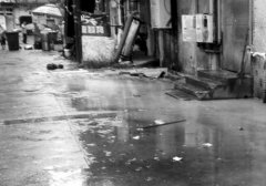 �Ͼ�С����ˮ�ŷ�ؽ��������Ϻ��궫һ�廯Ԥ�Ʊ�վΪ�����ǽ���